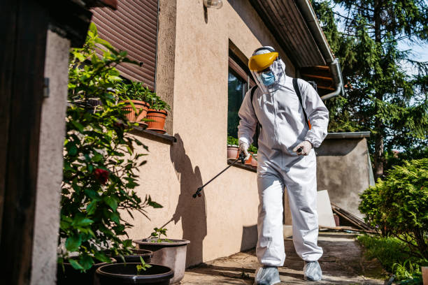 Best Mosquito Control Services  in Wyomissing, PA