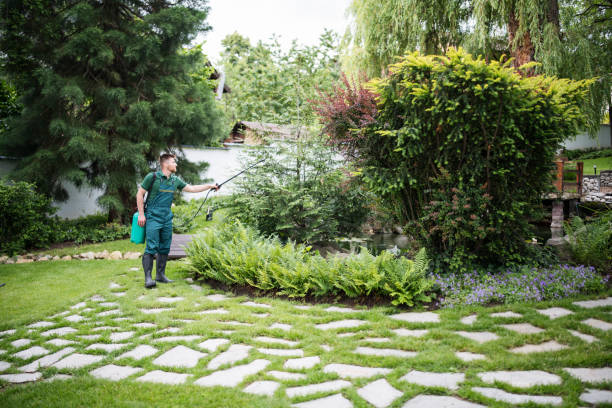 Best Pest Removal Services  in Wyomissing, PA