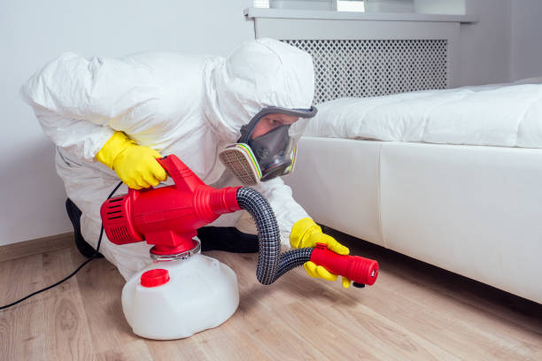 Best Affordable Pest Control Services  in Wyomissing, PA