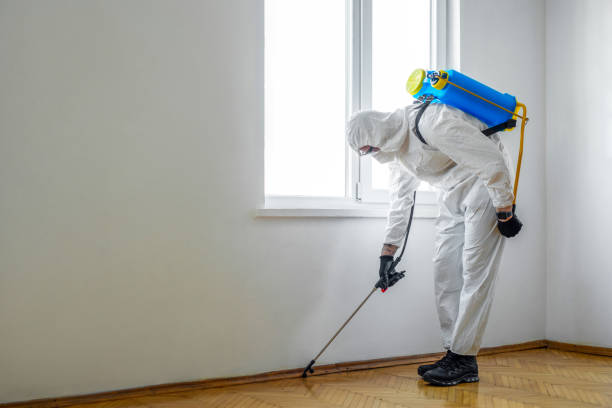 Best Termite Control Services  in Wyomissing, PA