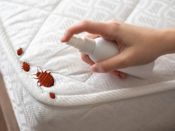 Best Best Pest Control Companies  in Wyomissing, PA