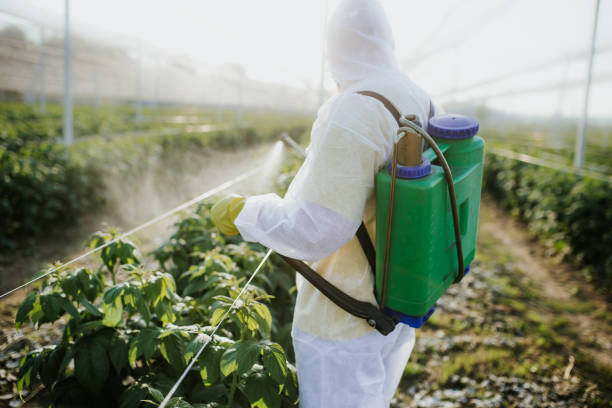 Best Best Pest Control Near Me  in Wyomissing, PA